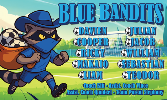 TEAM BANNERS