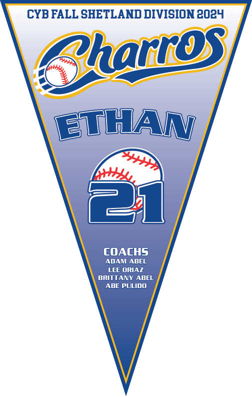 TEAM PENNANTS