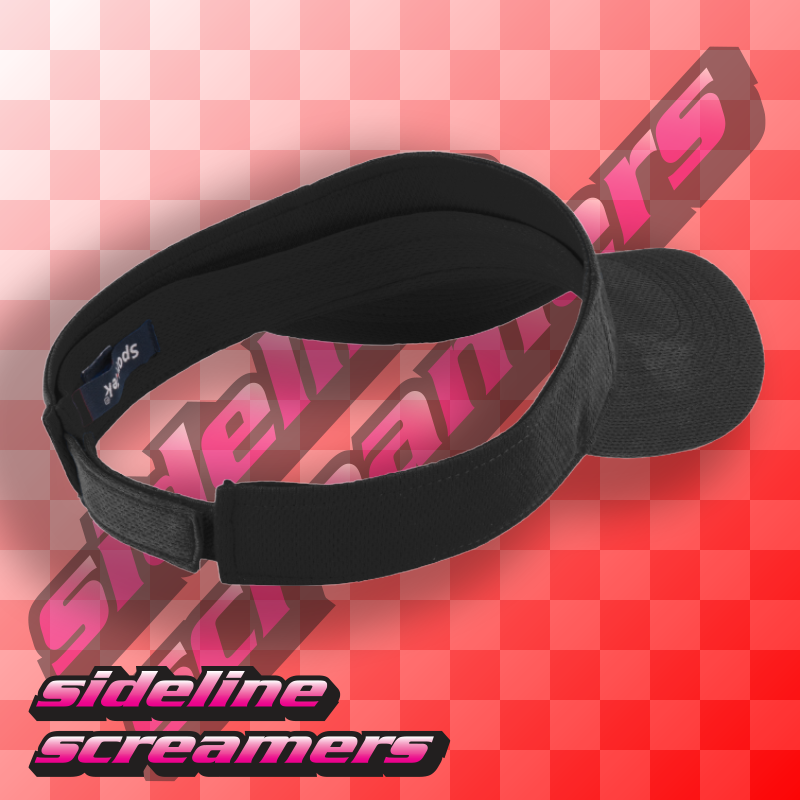 MORRIS ELEMENTARY VISOR