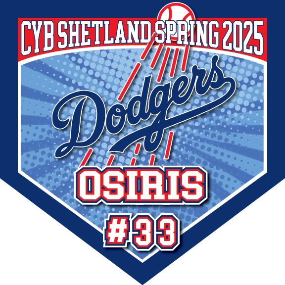 TEAM PENNANTS