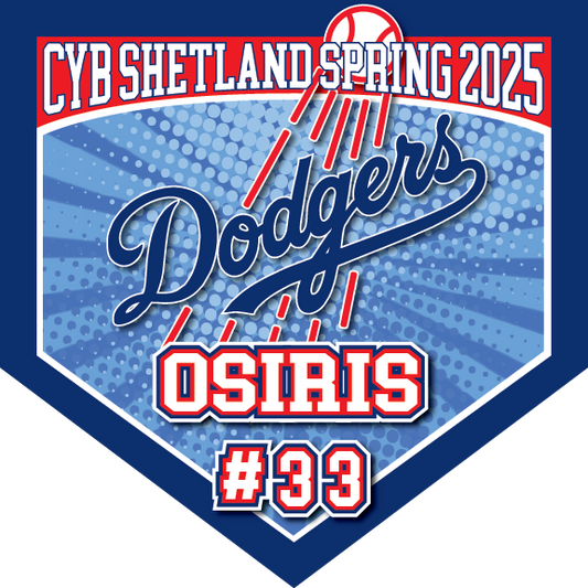 TEAM PENNANTS