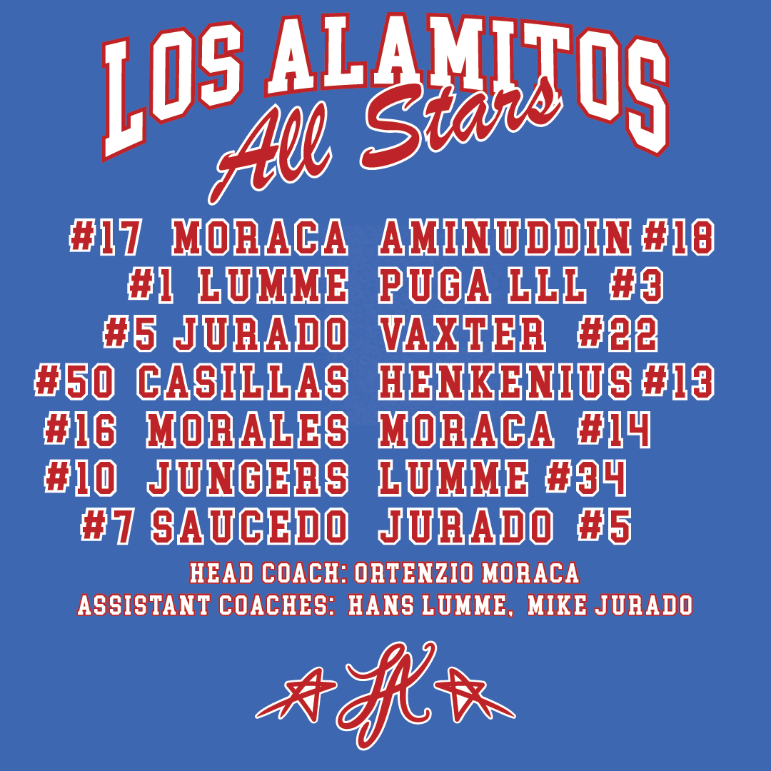 LAYB ALL STARS MEN'S ROSTER T-SHIRT
