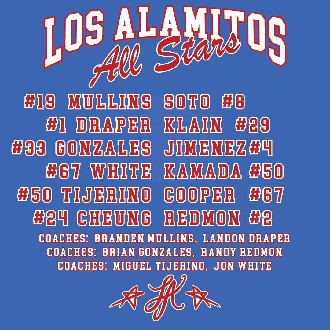LAYB ALL STARS MEN'S ROSTER T-SHIRT