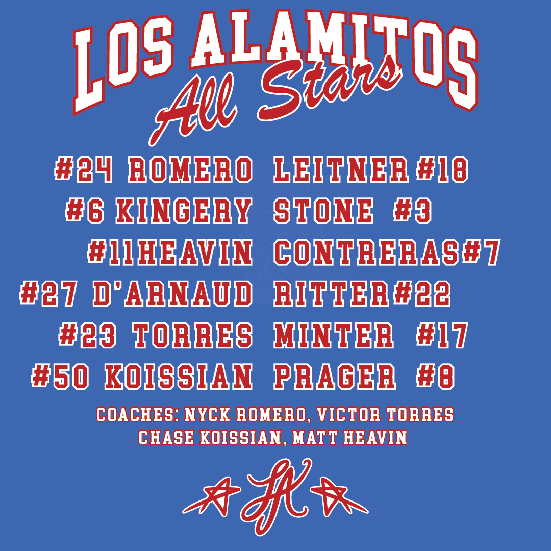 LAYB ALL STARS MEN'S ROSTER T-SHIRT