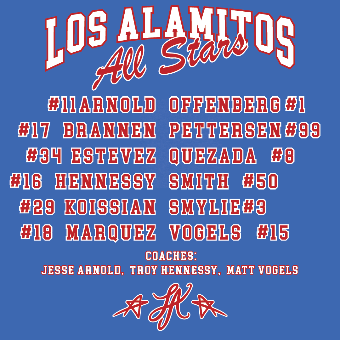 LAYB ALL STARS MEN'S ROSTER T-SHIRT
