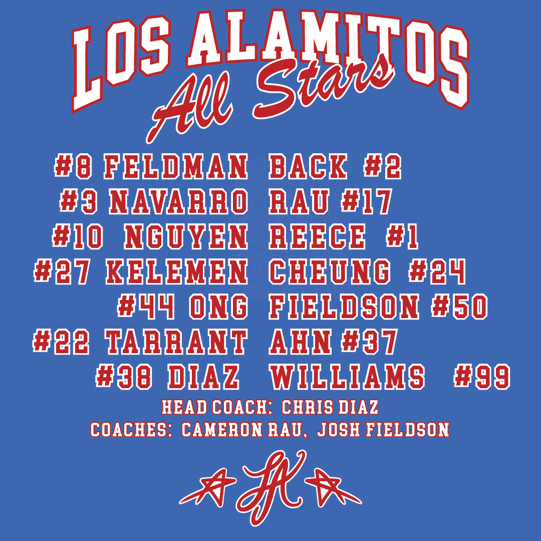 LAYB ALL STARS MEN'S ROSTER T-SHIRT