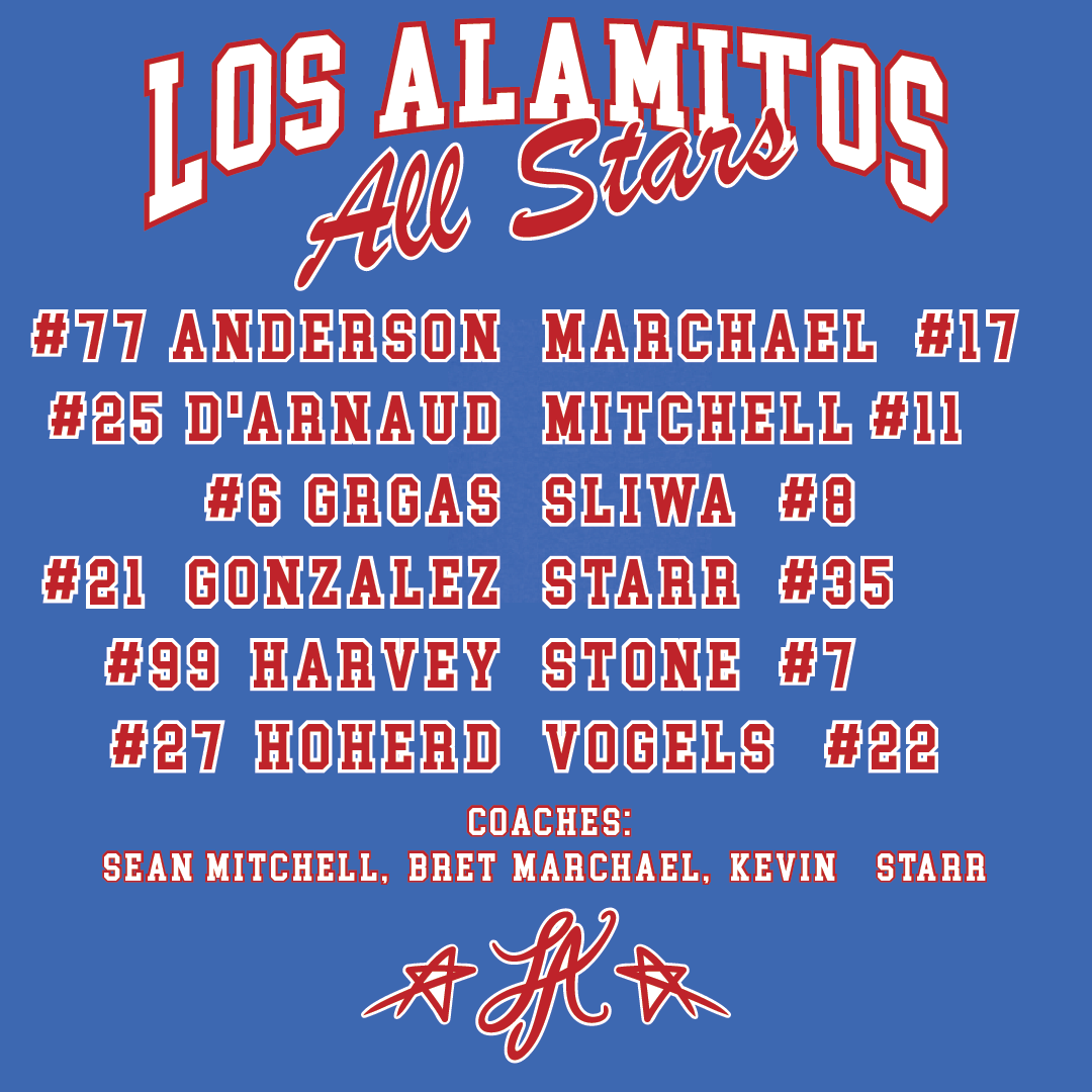 LAYB ALL STARS MEN'S ROSTER T-SHIRT
