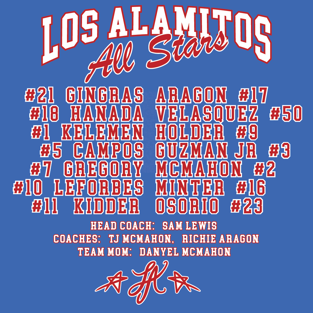 LAYB ALL STARS MEN'S ROSTER T-SHIRT